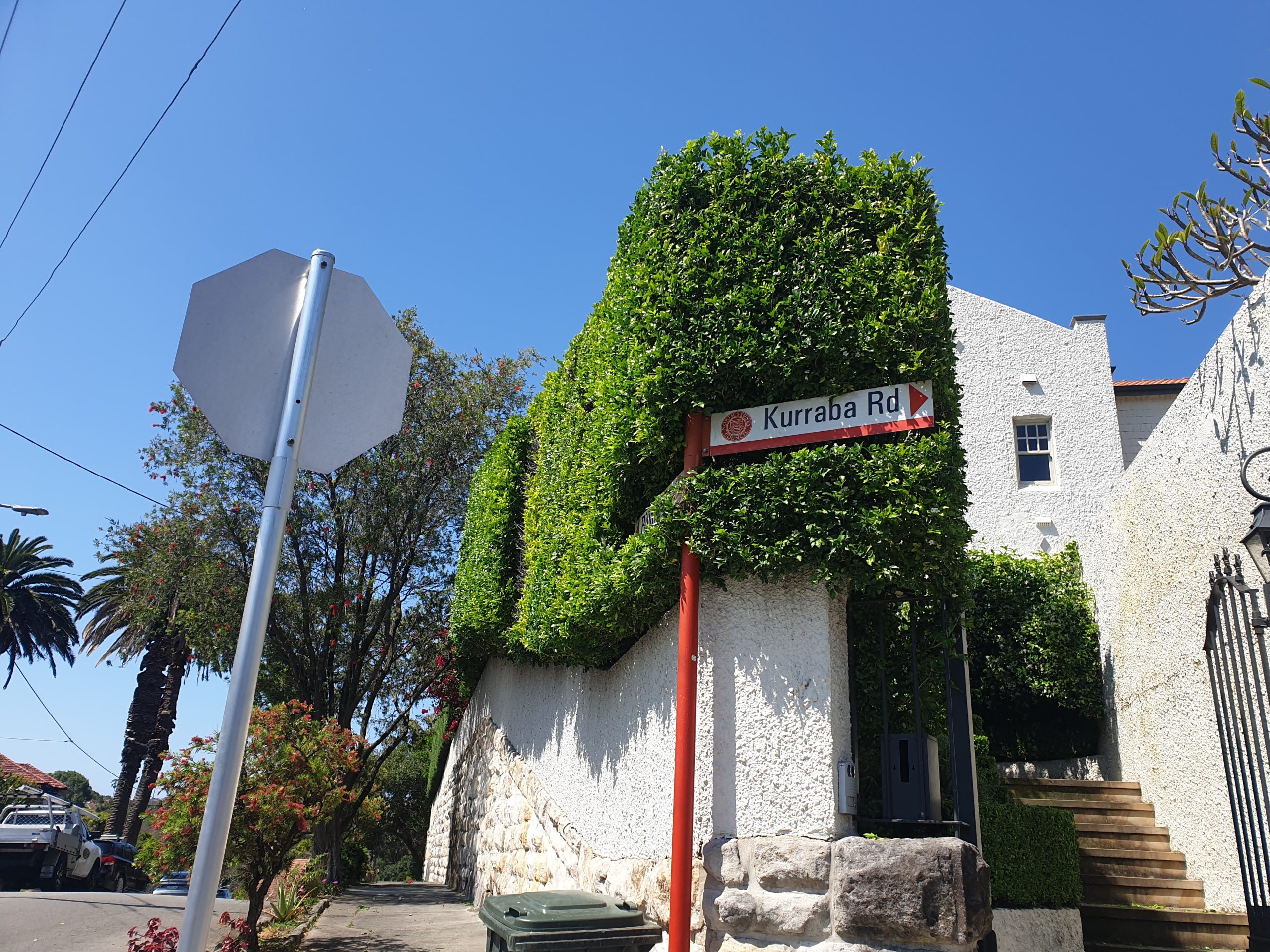 Hedge trimming services Neutral Bay